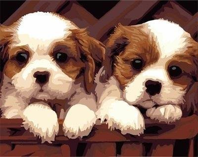 Painting By Numbers - 30X40cm Two Dogs