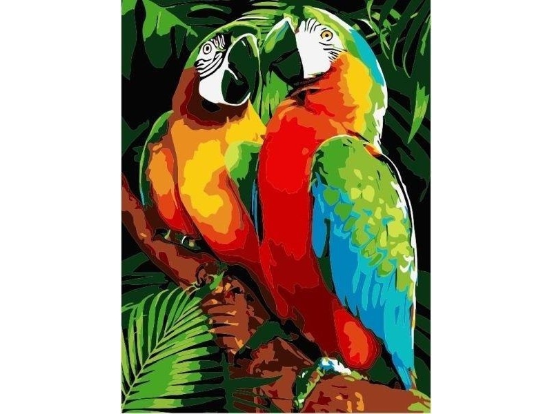 Painting By Numbers - 30X40cm Parrots