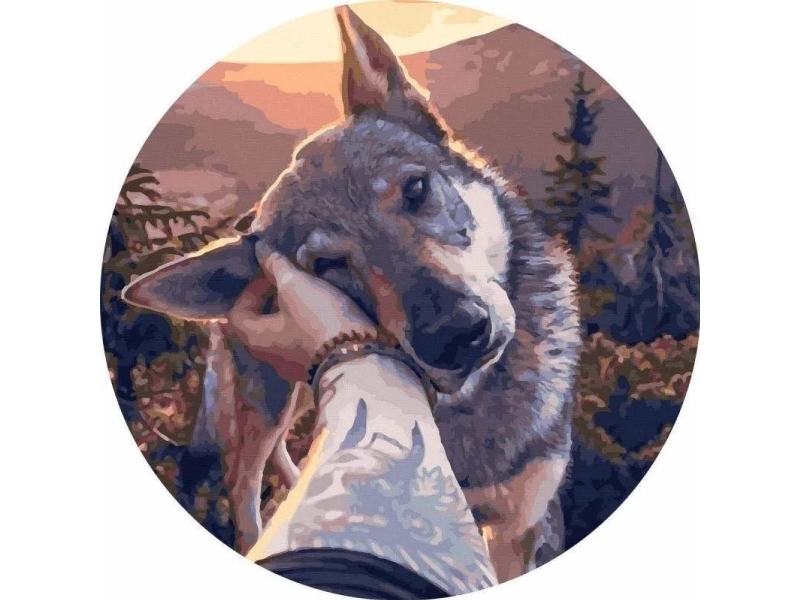 Painting by numbers round - Best... 40cm | Skola & Hobby - Konstmaterial - Dukar | GameStuff