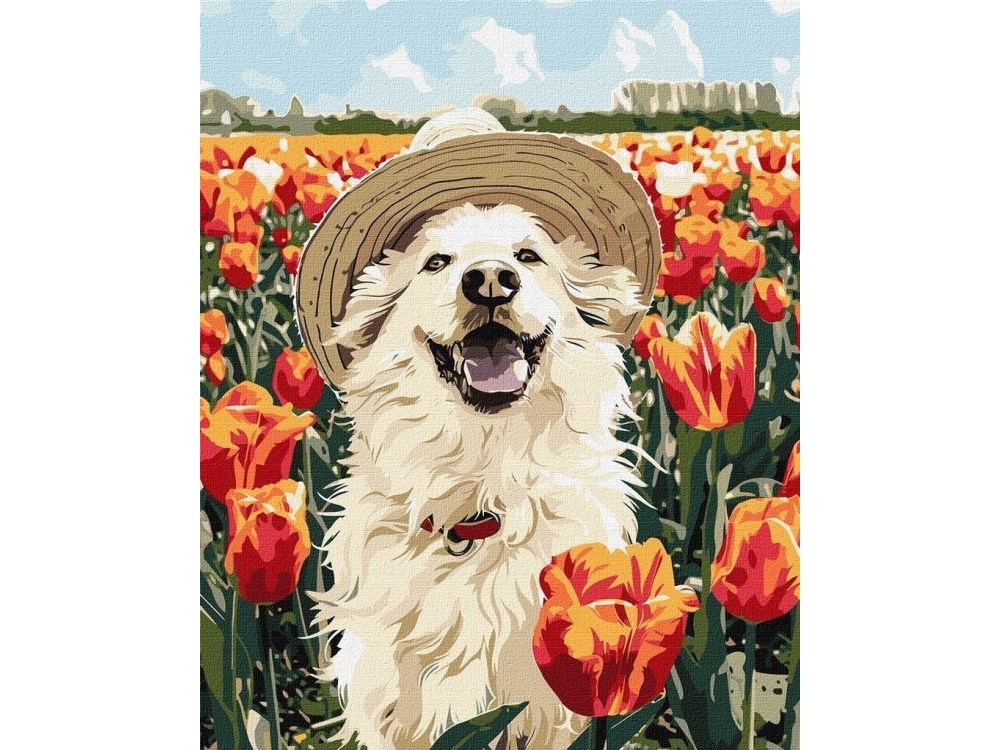Malen Nach Zahlen - Glücklicher Labrador 40X50cm