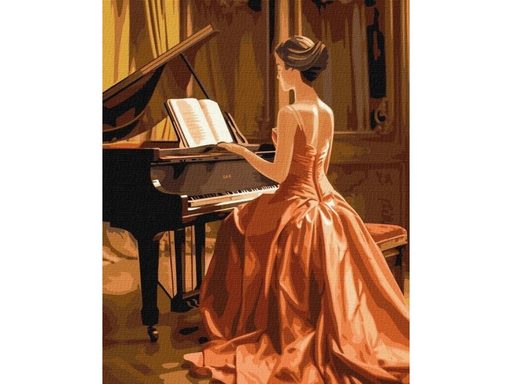 Painting By Numbers - Wonderful Pianist 40X50cm