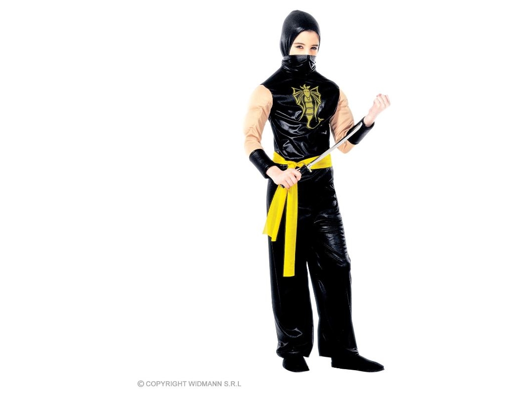 Power Ninja Kostume