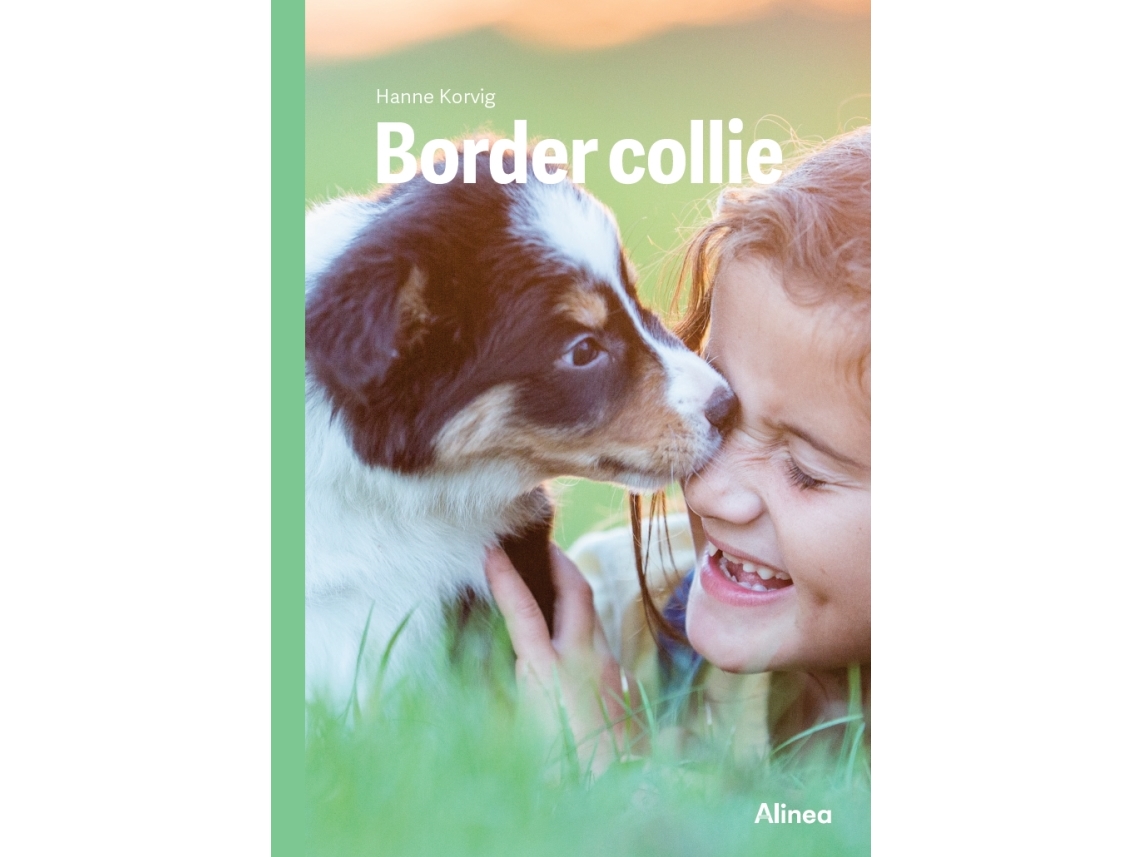 Border Collie, Grøn Fagklub | Hanne Korvig