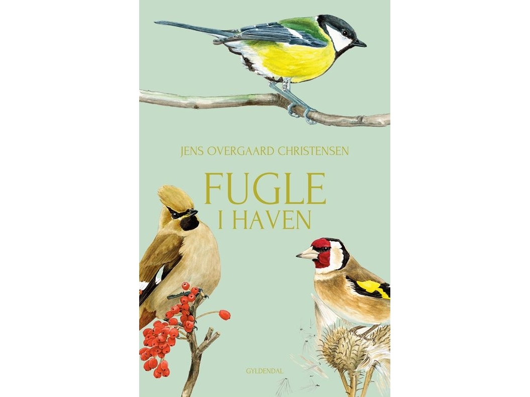 Fugle i haven | Jens Overgaard Christensen