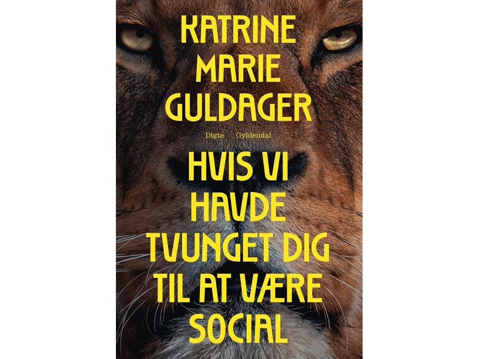 Hvis vi havde tvunget dig til at være social | Katrine Marie Guldager