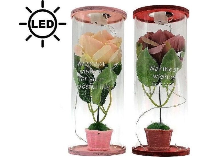Rose in LED tube MIX