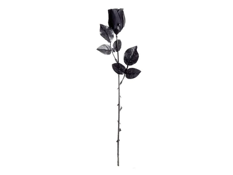Sort Rose