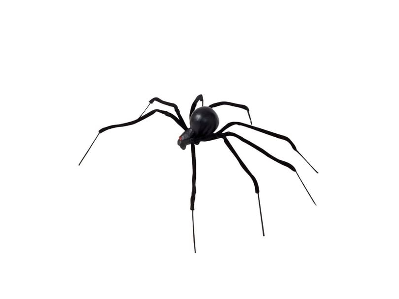 Spinne, 90 Cm
