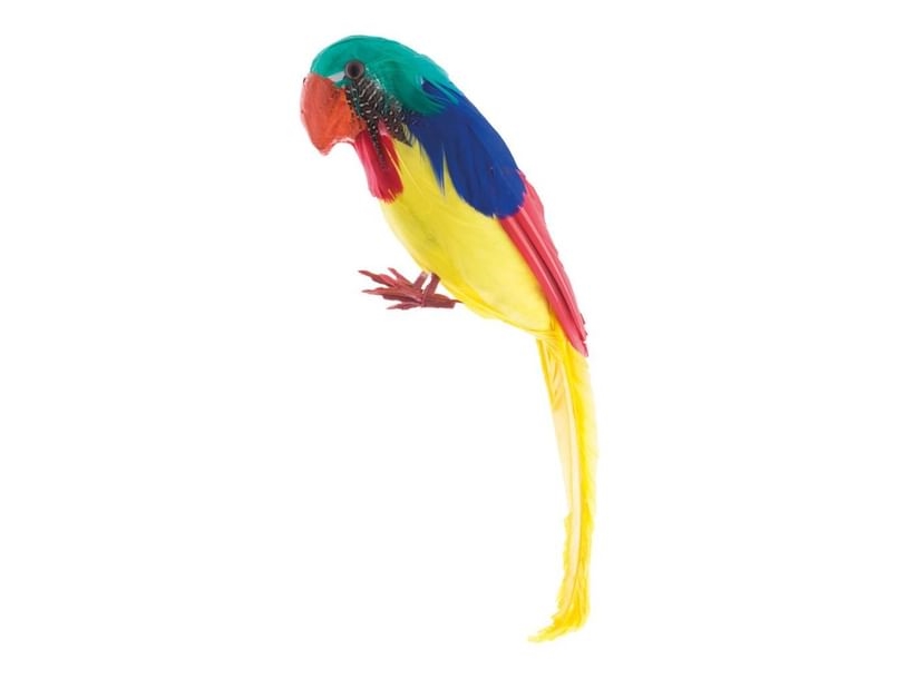 Papagei, 30 Cm