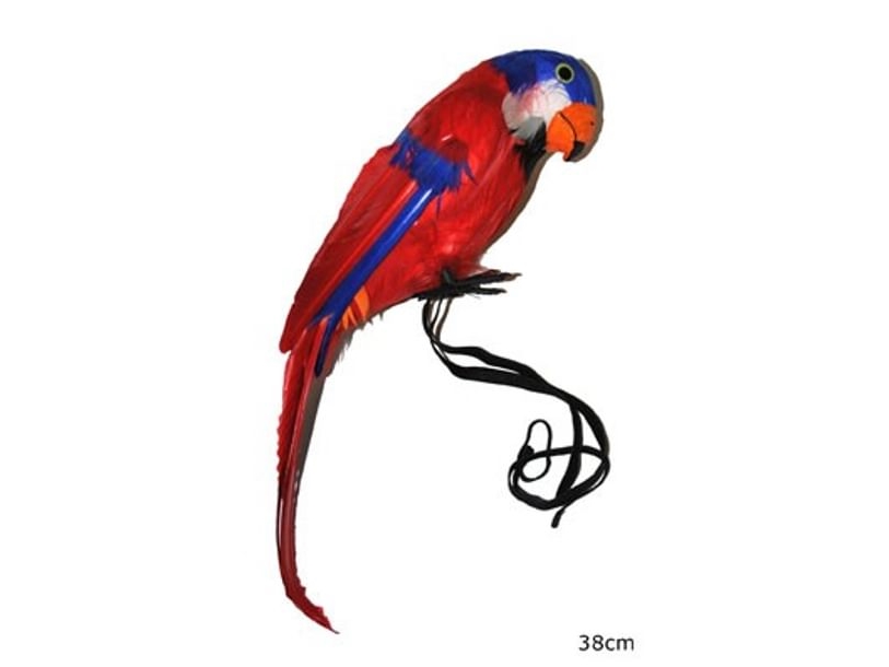 Papagei, 38 Cm