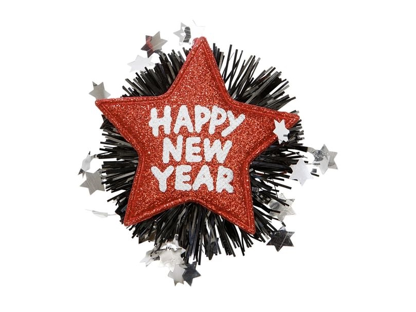 Rote Neujahrsbrosche