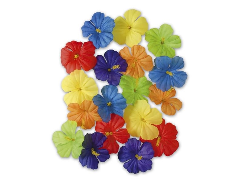 Hibiscus Blomster