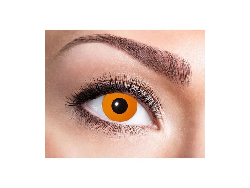 Orangefarbene Linsen, 12 Monate.