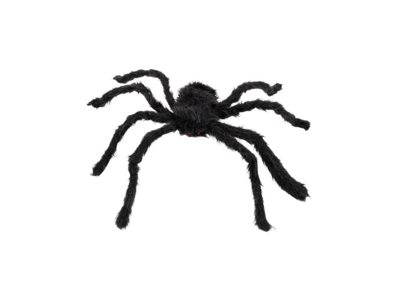 Haarige Spinne