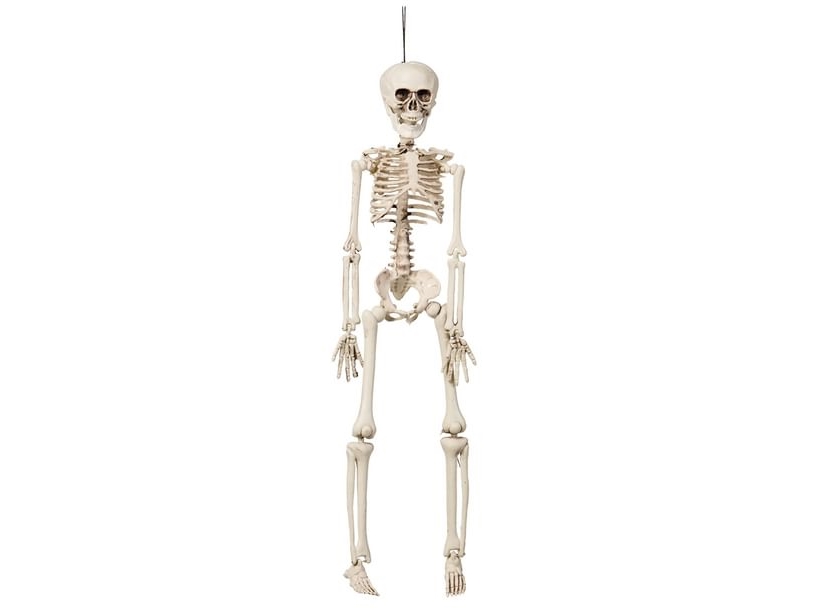 Skelett, 42 Cm