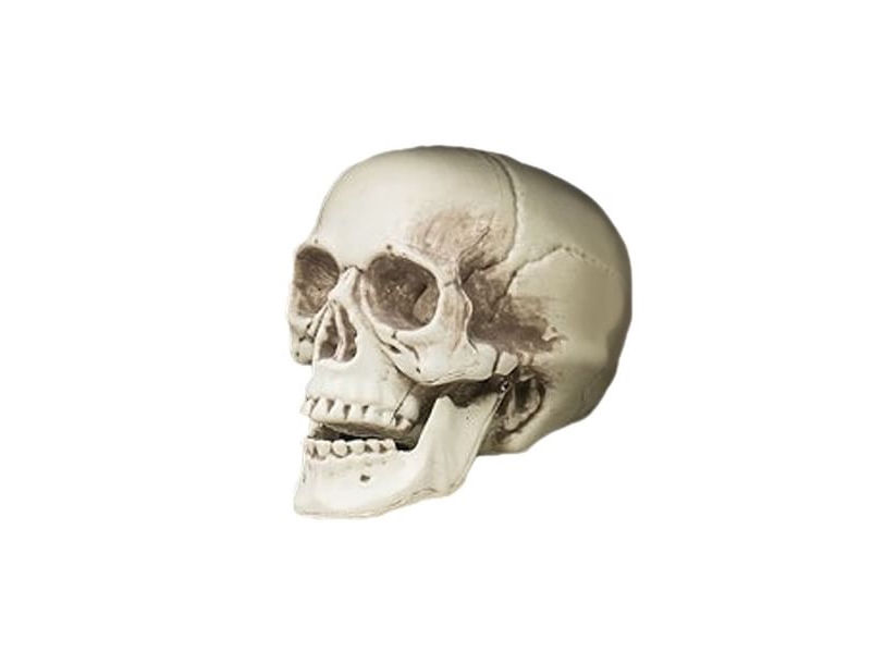 Skalle, 9 cm | Belysning - Annan belysning - Ljusslingor | GameStuff