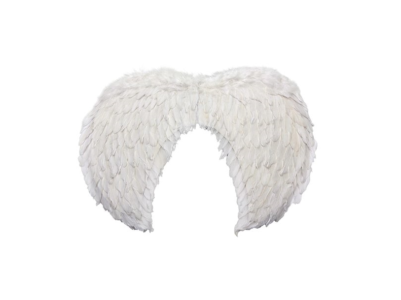 Valkoiset höyhenet siivet