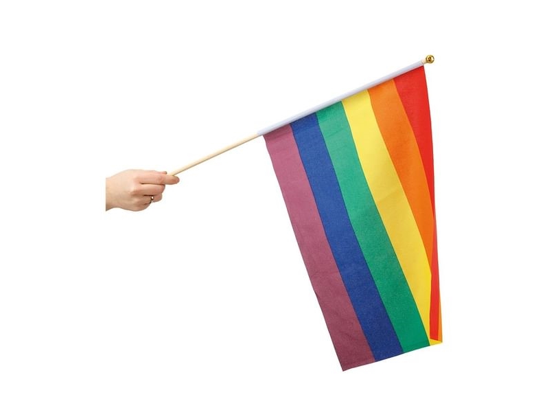 Regenbogenfahne Auf Einem Stock