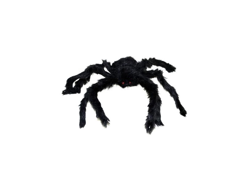 Spinne, 40 Cm