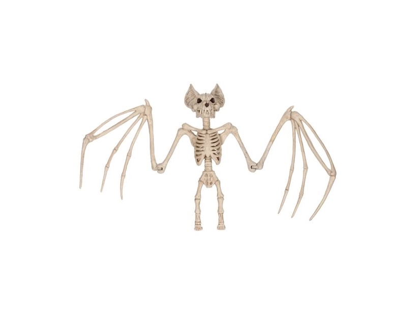 Großes Fledermaus-Skelett