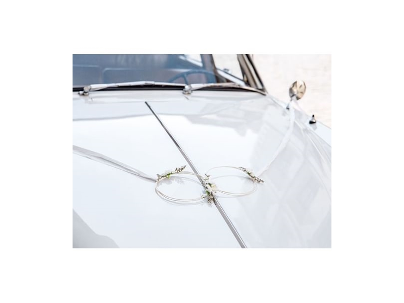 Autoschmuck-Set, Ringe