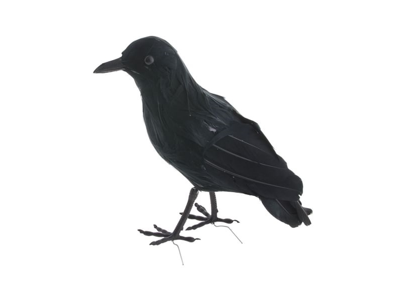 Ravn 23 Cm