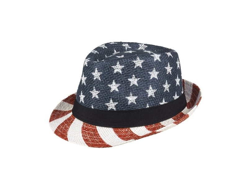 Usa Fedora Hat