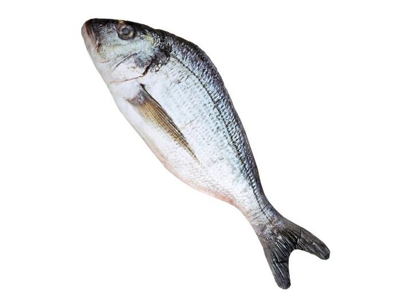 Fisk