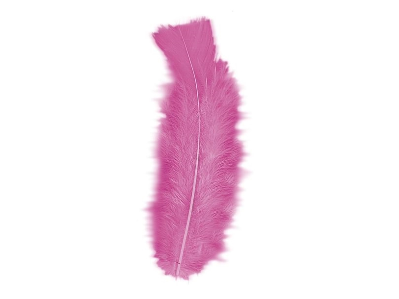 Rote/Rosa Federn, 50 Stk