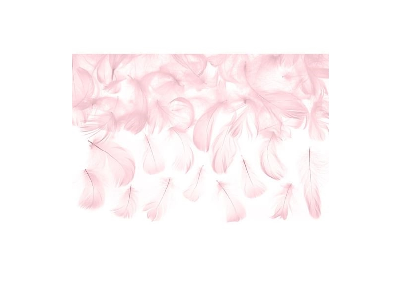 Deko-Feder Rosa