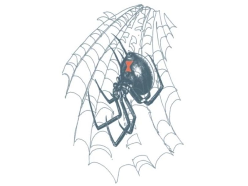 Black Widow Tatovering