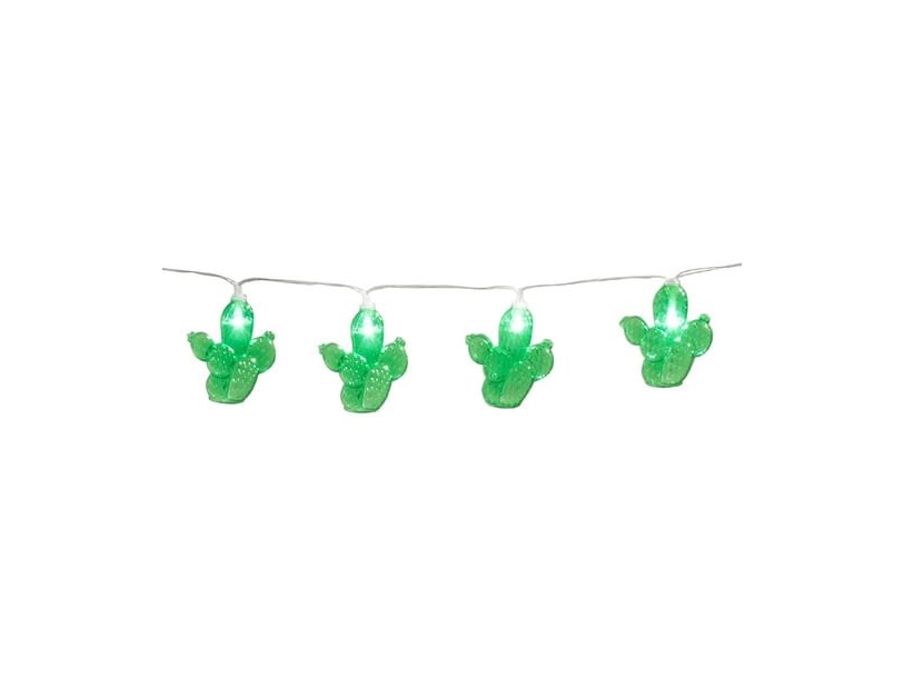 Lichterkette Mit Kakteen