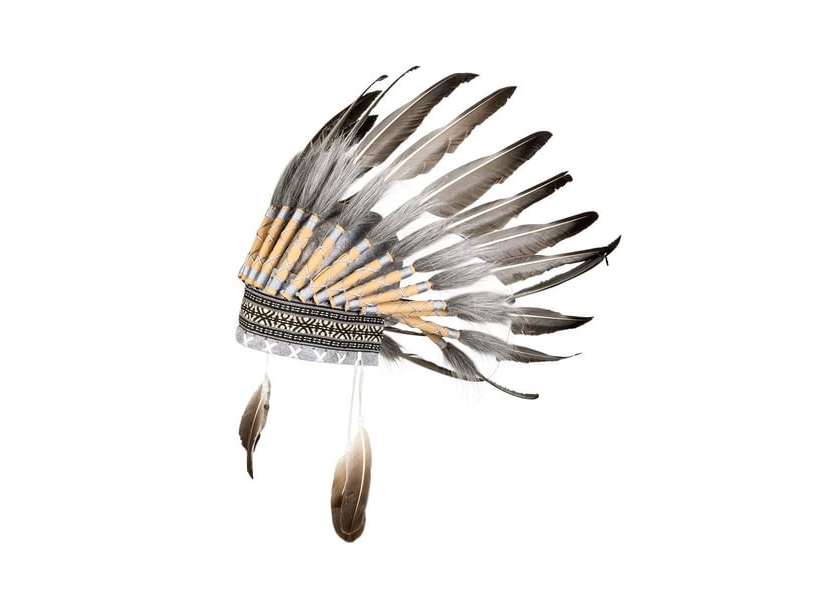 Wise Chief Federschmuck