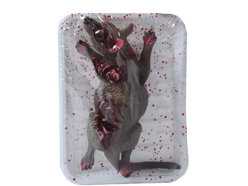 Ratte Im Tablett