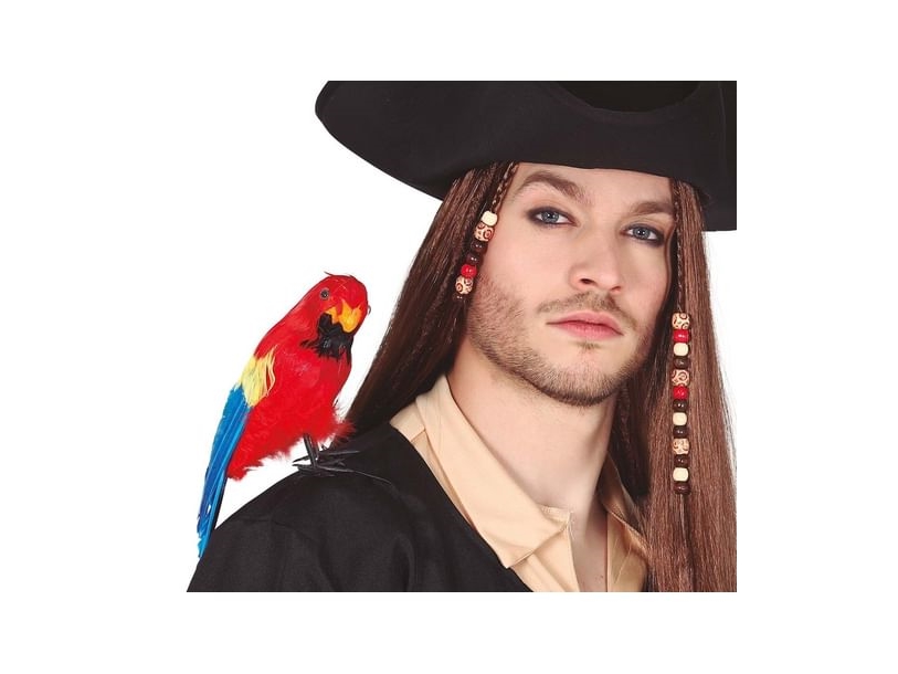Papagei Zur Schulter