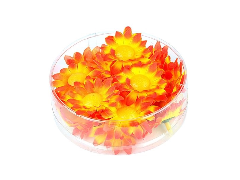 Dekorative Blomster, Gul Og Orange