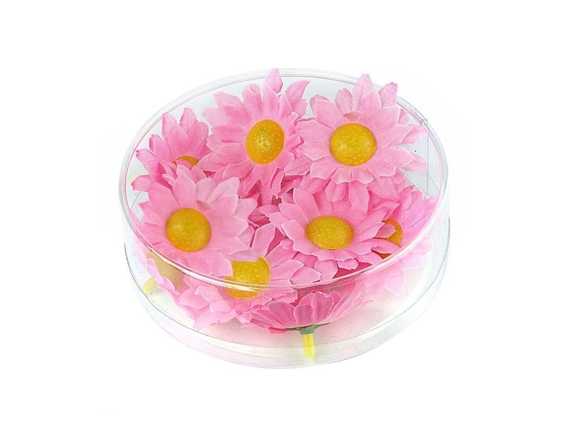 Dekorative Blumen, Rosa