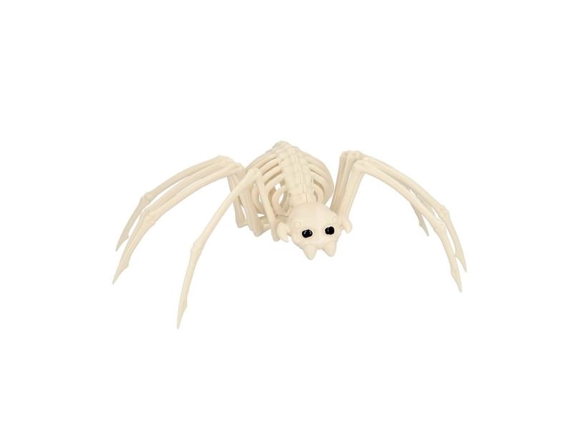 Spinnenskelett, 35 Cm