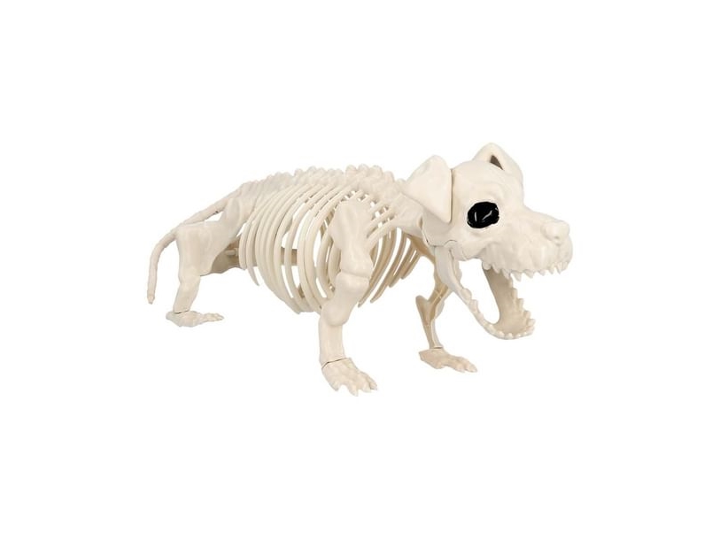 Hundeskelet, 52 Cm