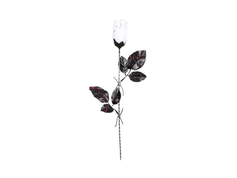Weiße Rose Mit Blut