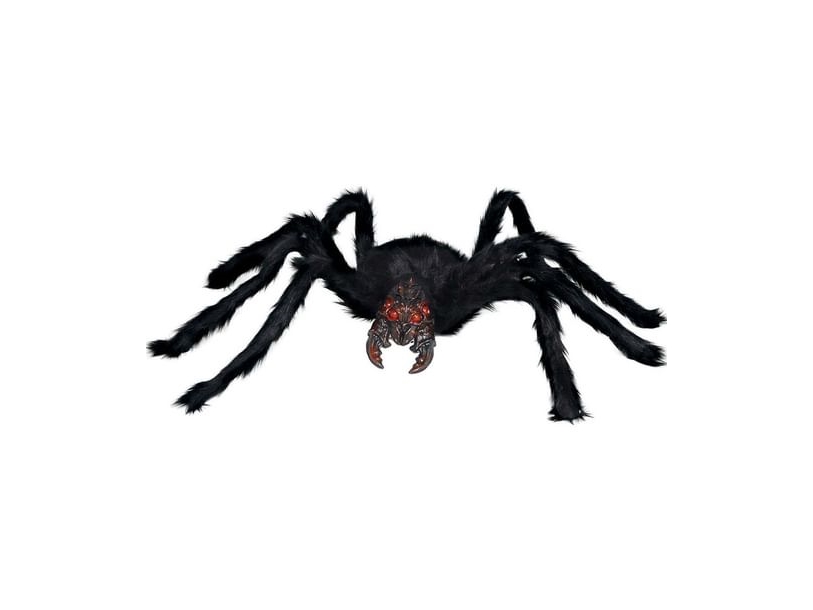 Haarige Spinne, 100Cm