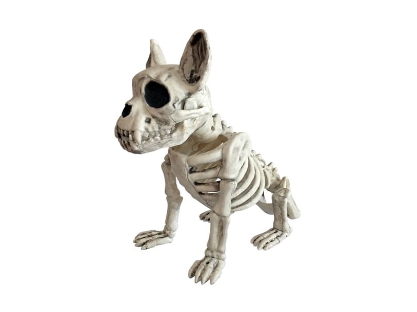 Siddende Skelet Hund, 28 Cm