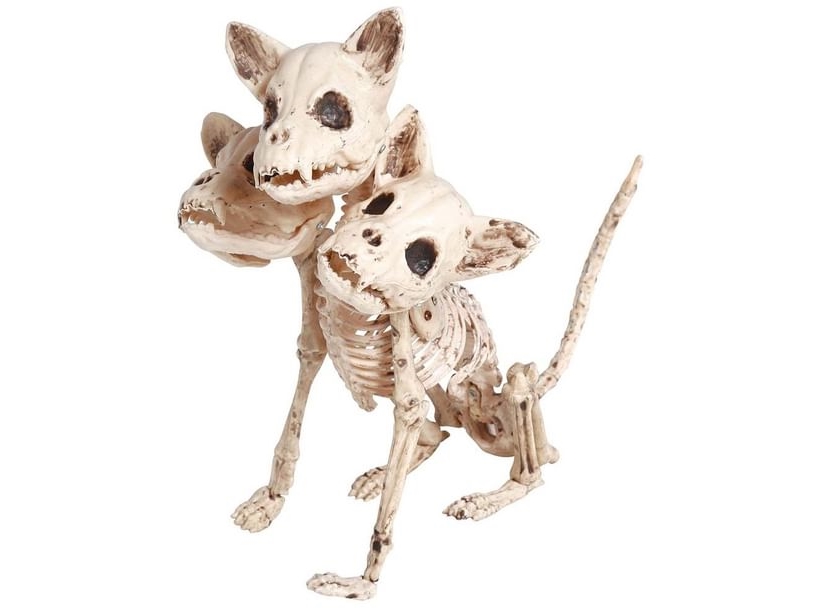 Hundeskelett Mit 3 Köpfen