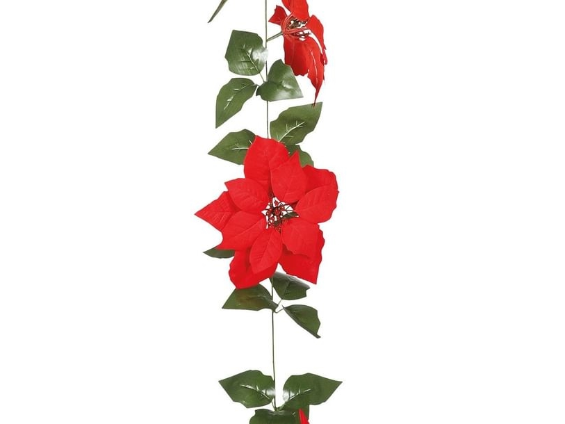 Weihnachtsstern-Girlande, Große Blumen