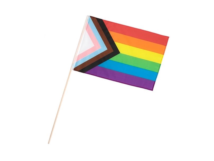 Lgbtq+-Flagge Auf Einem Stock
