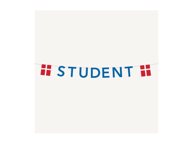 Girlande Student Blau