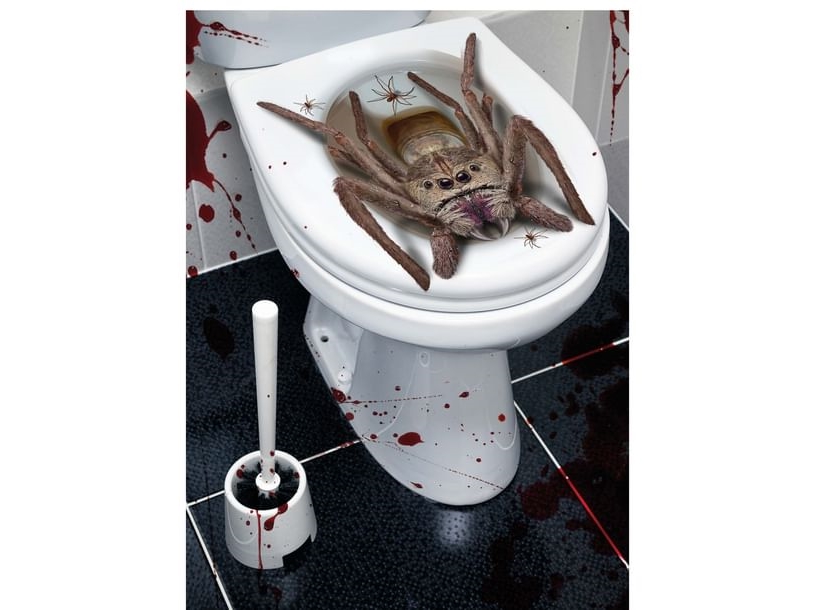 Dekoration Der Spinnentoilette