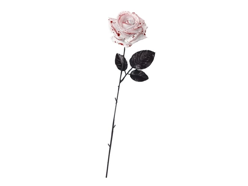 Weiße Rose Mit Blut