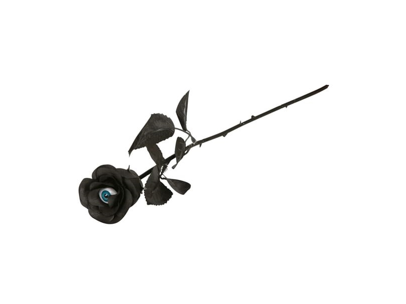 Schwarze Rose Mit Auge