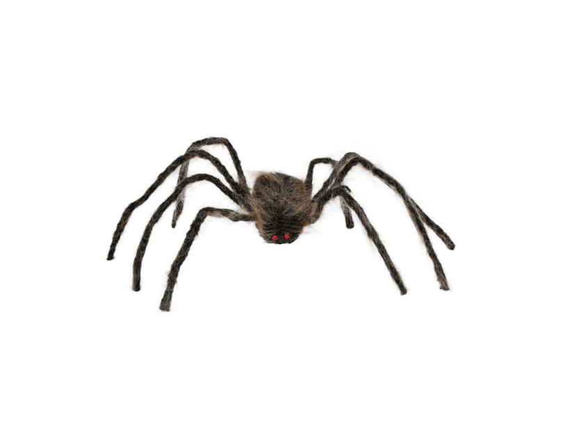 Brun Edderkop, 75 Cm